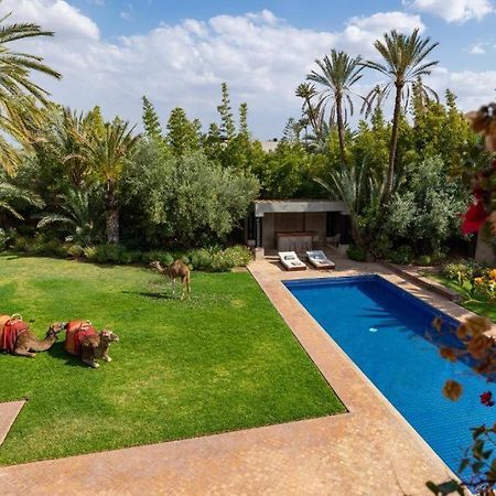 Villa Sahar Palmeraie Avec Piscine Chauffee ! Marakeş Dış mekan fotoğraf