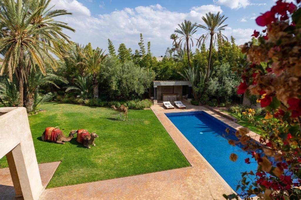 Villa Sahar Palmeraie Avec Piscine Chauffee ! Marakeş Dış mekan fotoğraf